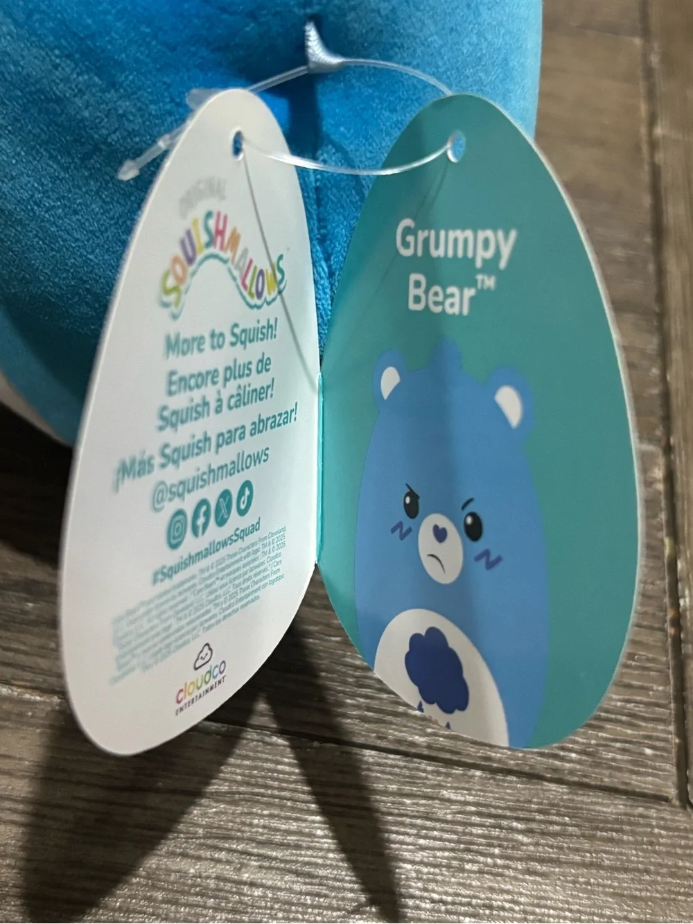 Care Bears Squishmallows • Blue Grumpy Bear 8 inch Plush